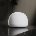 Dental Pod Pro - Arctic White